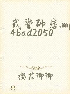 武警帅痞.mp4bad2050封面