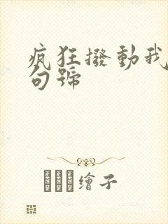 疯狂拨动我的小句号封面