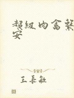 超级肉禽系统保安