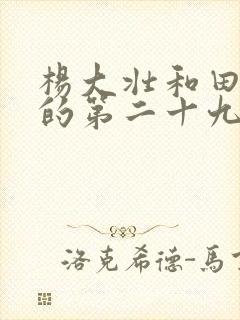 杨大壮和田桂花的第二十九封面