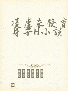 凌虐未发育的小身子H小说