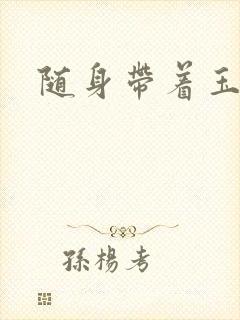 随身带着玉如意封面