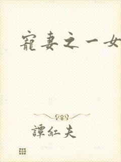 宠妻之一女二夫封面