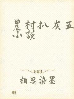 农村扒灰五十篇小说封面