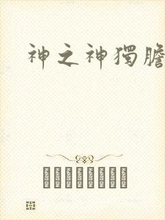 神之神独胆王