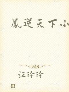 凤逆天下小说封面