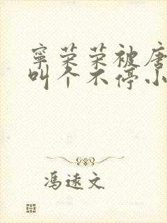 宁荣荣被唐三桶叫个不停小说封面