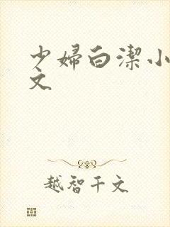 少妇白洁小说全文