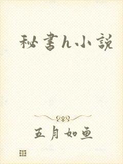 秘书h小说