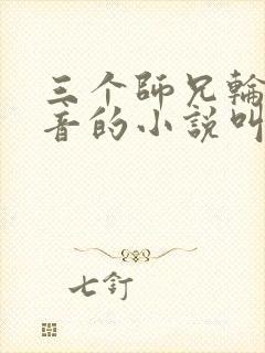 三个师兄轮流上音的小说叫什么封面