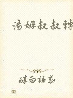 汤姆叔叔转接口