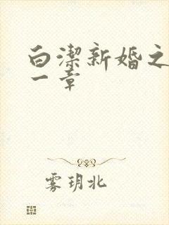 白洁新婚之夜第一章封面