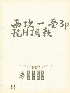 两攻一受3p双龙H调教