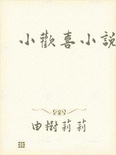小欢喜小说封面