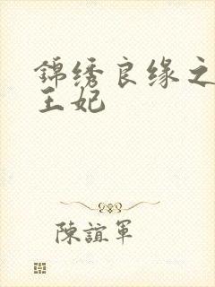 锦绣良缘之北地王妃