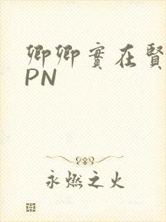 卿卿实在贤良NPN