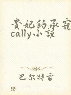 贵妃的承宠日常cally小说