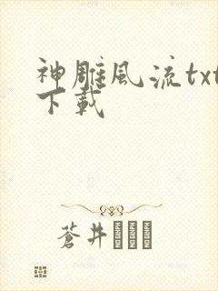 神雕风流txt下载