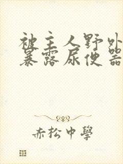 被主人野外调教暴露尿便器封面