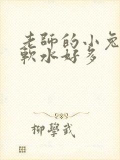 老师的小兔子好软水好多