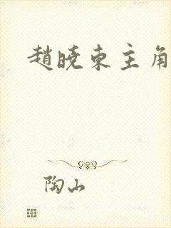 赵晓东主角小说