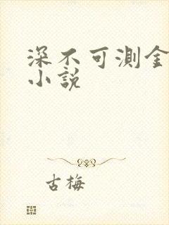 深不可测金银花小说