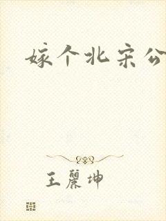 嫁个北宋公务员封面