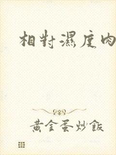 相对湿度肉车封面