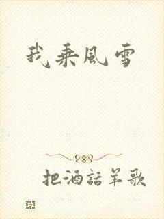 我乘风雪