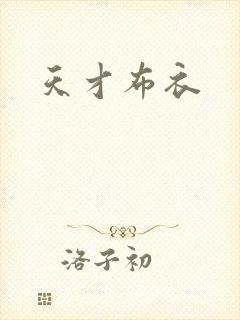 天才布衣封面