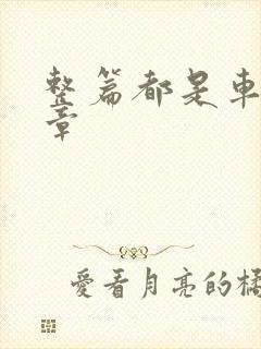 整篇都是车的文章