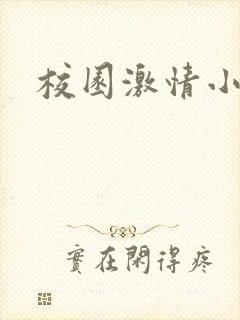 校园激情小说封面