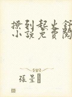 撩到起火舒漾的小说免费阅读全文