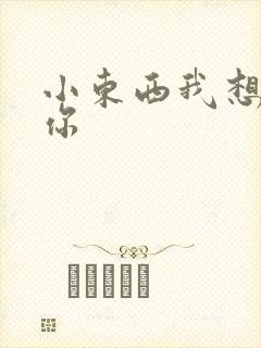 小东西我想弄坏你封面