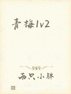 青梅1v2