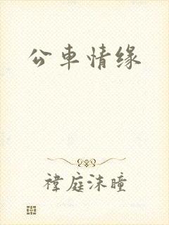 公车情缘