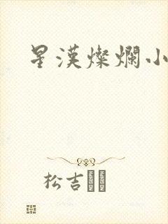 星汉灿烂小说