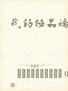 我的极品娇妻封面