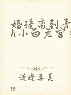 婚后脔到青梅哭h小白兔宫交h