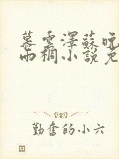 慕云泽苏晚晴夏雨桐小说免费阅读封面