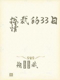 总裁的33日索情