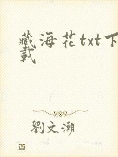 藏海花txt下载