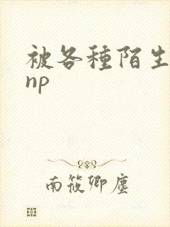 被各种陌生人 np