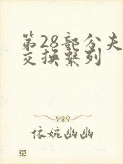第28部分夫妇交换系列封面