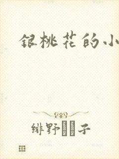 银桃花的小说