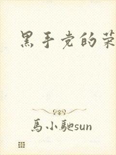 黑手党的荣耀封面