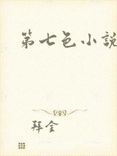 第七色小说封面