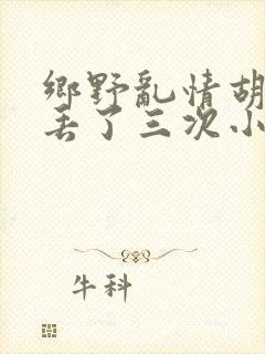 乡野乱情胡秀英丢了三次小说封面