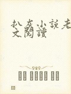 扒灰小说老马全文阅读