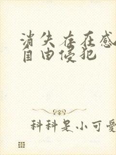 消失存在感消失自由侵犯封面